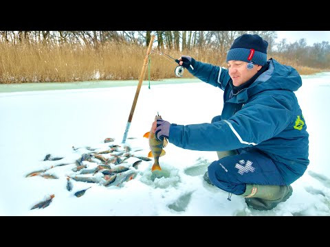 Такого ще НЕ БУЛО!!! Неймовірна РАСПАКОВКА ОКУНЯ!!!