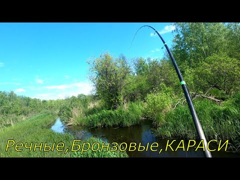 Рыбалка на КАРАСЯ/На ЖАРЕХУ/Рыбная РЕЧКА-Икромет.