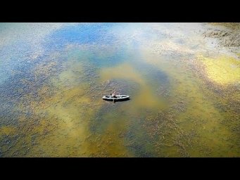 В ЭТОМ БОЛОТЕ МНОГО КАРАСЯ. Поплавок крупным планом. Рыбалка на карася с поплавочной удочкой.