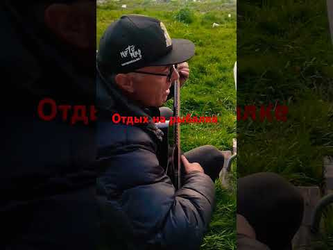 Вот так на рыбалку