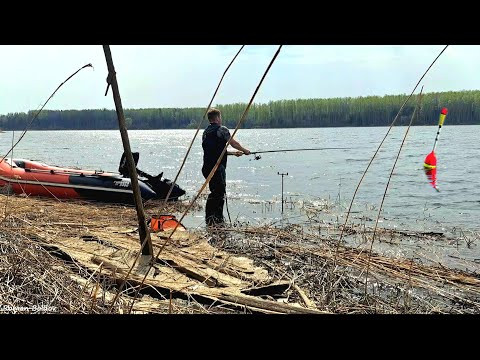 ЗДЕСЬ МНОГО ЗМЕЙ ГРИБОВ И РЫБЫ! Рыбалка на поплавок как в детстве. Лодочный мотор Flaizer FZ5HS. ЗДЕСЬ МНОГО ЗМЕЙ ГРИБОВ И РЫБЫ! Рыбалка на поплавок как в детстве. Лодочный мотор Flaizer FZ5HS.