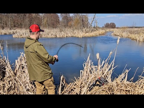 Нашел ЗАВОДЬ полную РЫБЫ! Рыбалка на УХОВЕРТКУ! Куча рыбы на Мормышинг! Спиннинг с берега Нашел ЗАВОДЬ полную РЫБЫ! Рыбалка на УХОВЕРТКУ! Куча рыбы на Мормышинг! Спиннинг с берега