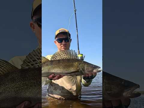 Наловив багато риби на спінінг Daiwa Lexa Jig #bereg #beregfishing #daiwa Наловив багато риби на спінінг Daiwa Lexa Jig #bereg #beregfishing #daiwa