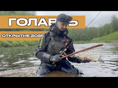 Первый голавль нового сезона! Ловля на перекате