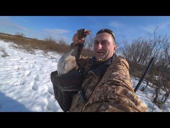 Охота на гуся в тяжелых условиях. Охота на севере. Hunting