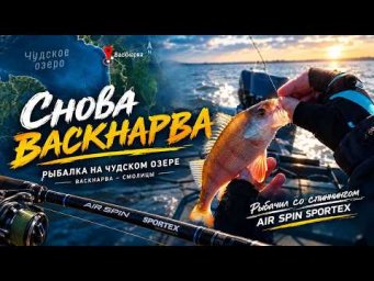 Снова Васкнарва. Снова Sportex.