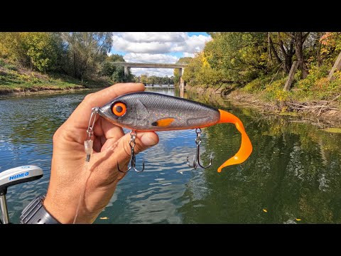 СЕКРЕТЫ ПРОВОДКИ крупных приманок!!! МНОГО КРУПНОЙ ЩУКИ! (как поймать)