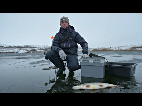 Ловля щуки на жерлицы по первому тонкому льду. Зимняя рыбалка 2025. Ловля щуки на жерлицы по первому тонкому льду. Зимняя рыбалка 2025.