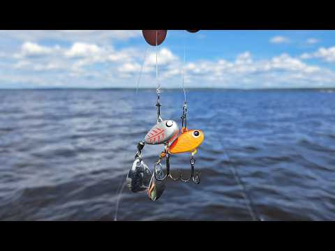 ЭТИ ПРИМАНКИ СМЕРТЬ ДЛЯ ХИЩНИКА! Поймали мешок Окуня на спиннинг. Рыбалка 2026.