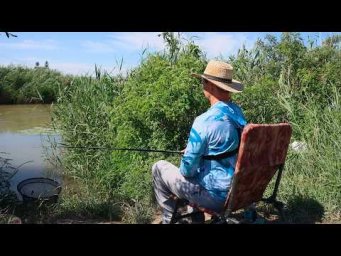 Рыбалка в камышах на карася, дикий канал где много рыбы