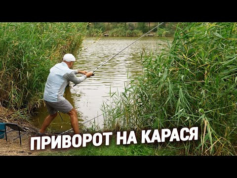 Карась на поплавок. Рибалка для всіх