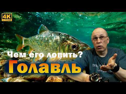 Снасти на голавля. Спиннинг, Катушка, Плетёнка, Приманки! Снасти на голавля. Спиннинг, Катушка, Плетёнка, Приманки!