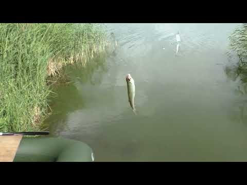 рыбалка с ночевкой в старой деревне
