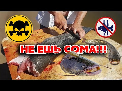 Почему я не ем СОМА / #СОМ - опасен для здоровья!!! ПХБ (PCB) ЗАРАЖЕНИЕ