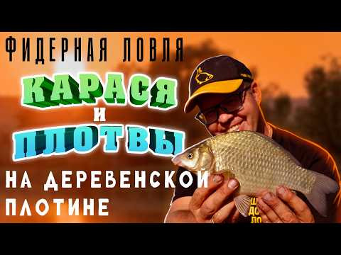 Фидерная ловля карася и плотвы на деревенской плотине. Фидерная ловля карася и плотвы на деревенской плотине.