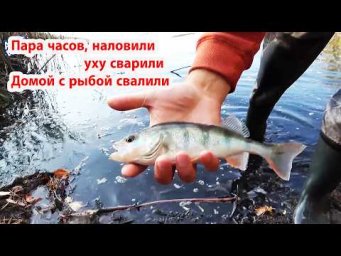 Осень,  уха на природе. Как бомбезно это было. Как на ультрик там ловили.