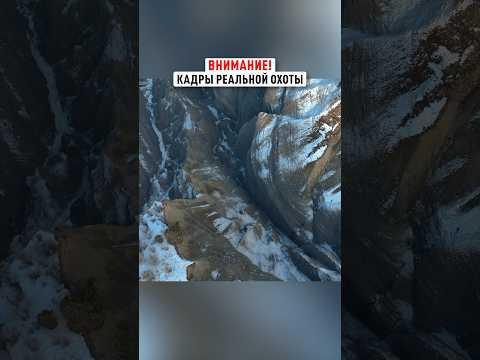 Жуткое падение в пропасть! #трофейнаяохота