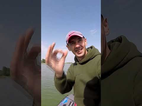 Він даже ще не починав #fishing #shorts #fish Він даже ще не починав #fishing #shorts #fish