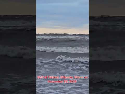 Gulf of Finland. Sillamäe. Storm on December 28, 2025. Gulf of Finland. Sillamäe. Storm on December 28, 2025.
