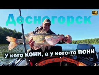Рыбалка в Десногорске  Ловля СУДАКА и ЩУКИ с лодки