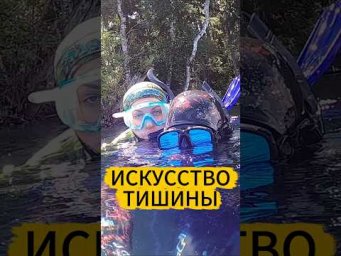 Один ШАНС. Один ВЫСТРЕЛ 