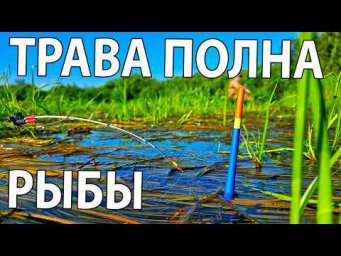 В ТРАВЕ ПОЛНО РЫБЫ! ЛОВИТСЯ ВСЁ! НОЧЁВКА У КОСТРА, ЖАРИМ! Сплав по маленькой речке