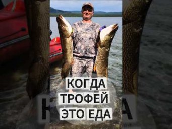От трофея к котлетам