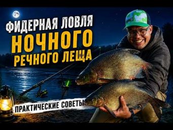 Фидерная ловля ночного леща. Практические советы.
