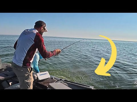 БАЛАДА про те !!!! Як ми ТРОФЕЇ ГОЛИМИ РУКАМИ В ЛОДКУ ТЯГНУЛИ !!! Рибалка по крупняку