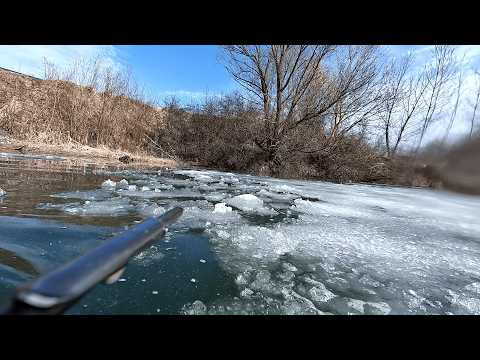 По кромке льда