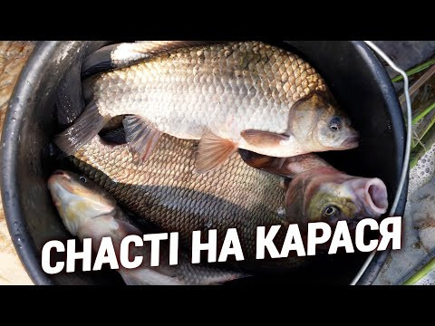 Рибалка на карася / Інструкція для початківців