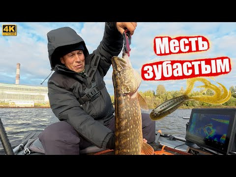 Щуке сегодня не жить - Месть зубастым тварям Щуке сегодня не жить - Месть зубастым тварям