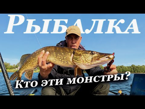 Кто эти МОНСТРЫ в ЭХОЛОТЕ Рыбалка на ЩУКУ в СЕНТЯБРЕ Кто эти МОНСТРЫ в ЭХОЛОТЕ Рыбалка на ЩУКУ в СЕНТЯБРЕ