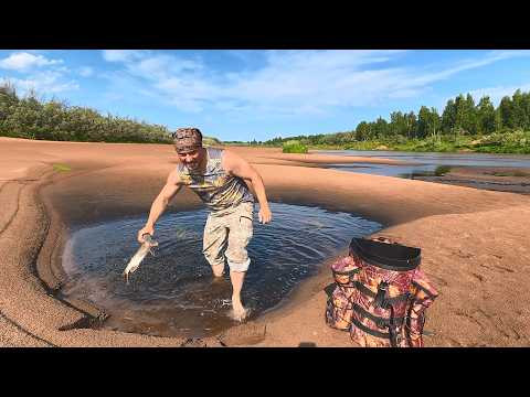 ЛОВИ ЩУК РУКАМИ С ЛУЖИ. МОЩНАЯ ЛОВЛЯ РЫБЫ С ОДНОЙ ТОЧКИ. О ТАКОЙ РЫБАЛКЕ МОЖНО ТОЛЬКО МЕЧТАТЬ. ЛОВИ ЩУК РУКАМИ С ЛУЖИ. МОЩНАЯ ЛОВЛЯ РЫБЫ С ОДНОЙ ТОЧКИ. О ТАКОЙ РЫБАЛКЕ МОЖНО ТОЛЬКО МЕЧТАТЬ.