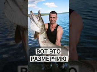 Когда ЩУКА важнее ШТАНОВ 