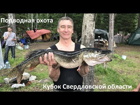 Подводная охота. Кубок Свердловской области. Scorpena. Батиур. Подводная охота. Кубок Свердловской области. Scorpena. Батиур.