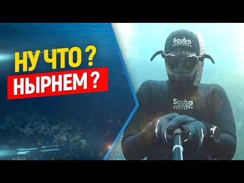 Открытие сезона фридайвинга 2024 на озере Карась, республика Марий Эл РФ.