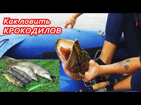 РЫБАЛКА на ЩУКУ в ДОЖДЬ с БАЙДАРКИ. Теплая ОСЕНЬ. РЫБАЛКА на ЩУКУ в ДОЖДЬ с БАЙДАРКИ. Теплая ОСЕНЬ.