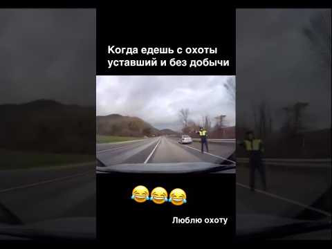 Мы, или не мы? 