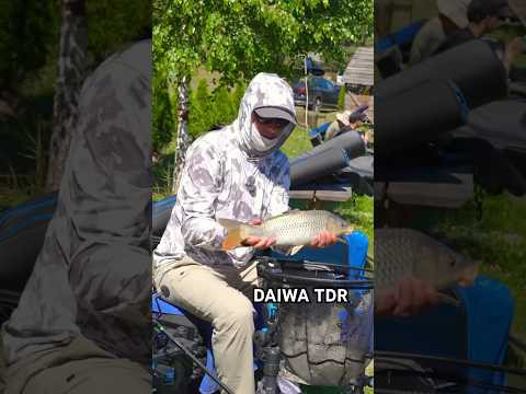 Daiwa TDR - one Love