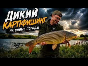 Дикий карпфишинг на сломе погоды.