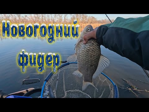 Новогодний фидер, рыбалка на карася и леща, закрытие сезона 2025