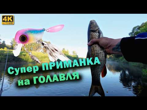 Перекат зарос травой, но я остался - и вот результат! Перекат зарос травой, но я остался - и вот результат!