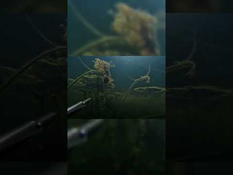 Смена локаций
