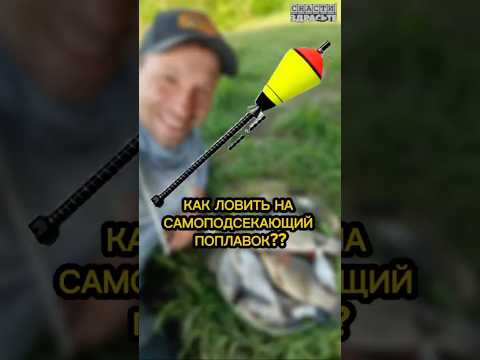 Об искусстве ловли на самоподсекающий поплавок в новом выпуске #снастиздрасьте