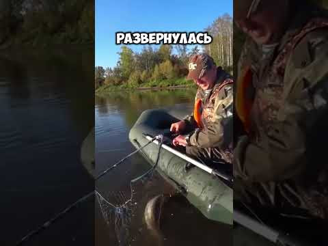 Рыбалка на Перемет! #рыбалка #fishing