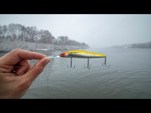 ЭТА ПРОВОДКА КОСИТ ХИЩНИКА ЗИМОЙ!!! КАК ловить на ВОБЛЕР! ЭТА ПРОВОДКА КОСИТ ХИЩНИКА ЗИМОЙ!!! КАК ловить на ВОБЛЕР!
