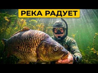 Река радует