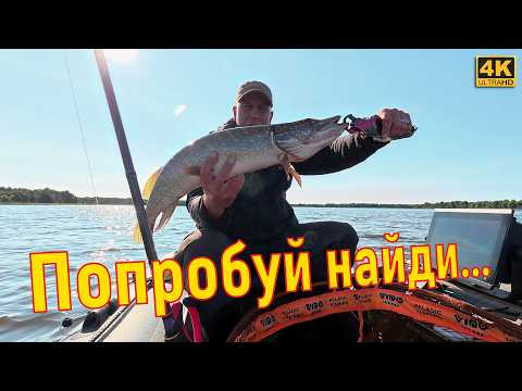 Garmin Panoptix против щуки: озеро Блюдце, попытка №2