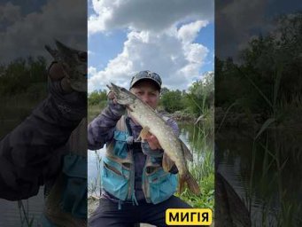 #спінінг #fishing #мигія #shorts